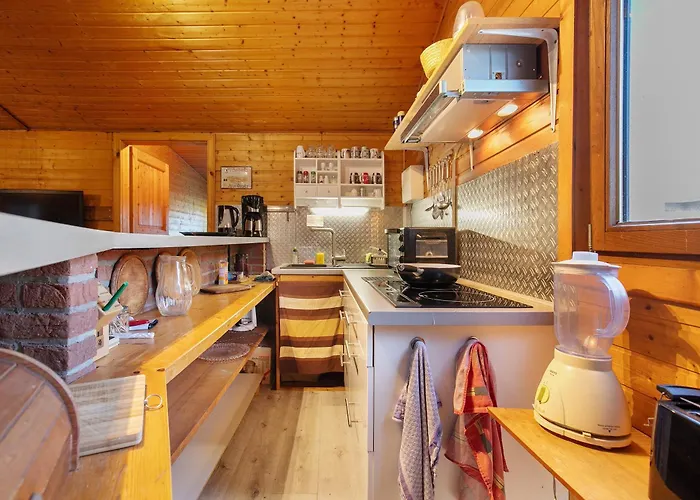 Holzhaus Grimm Dom wakacyjny Fedderingen